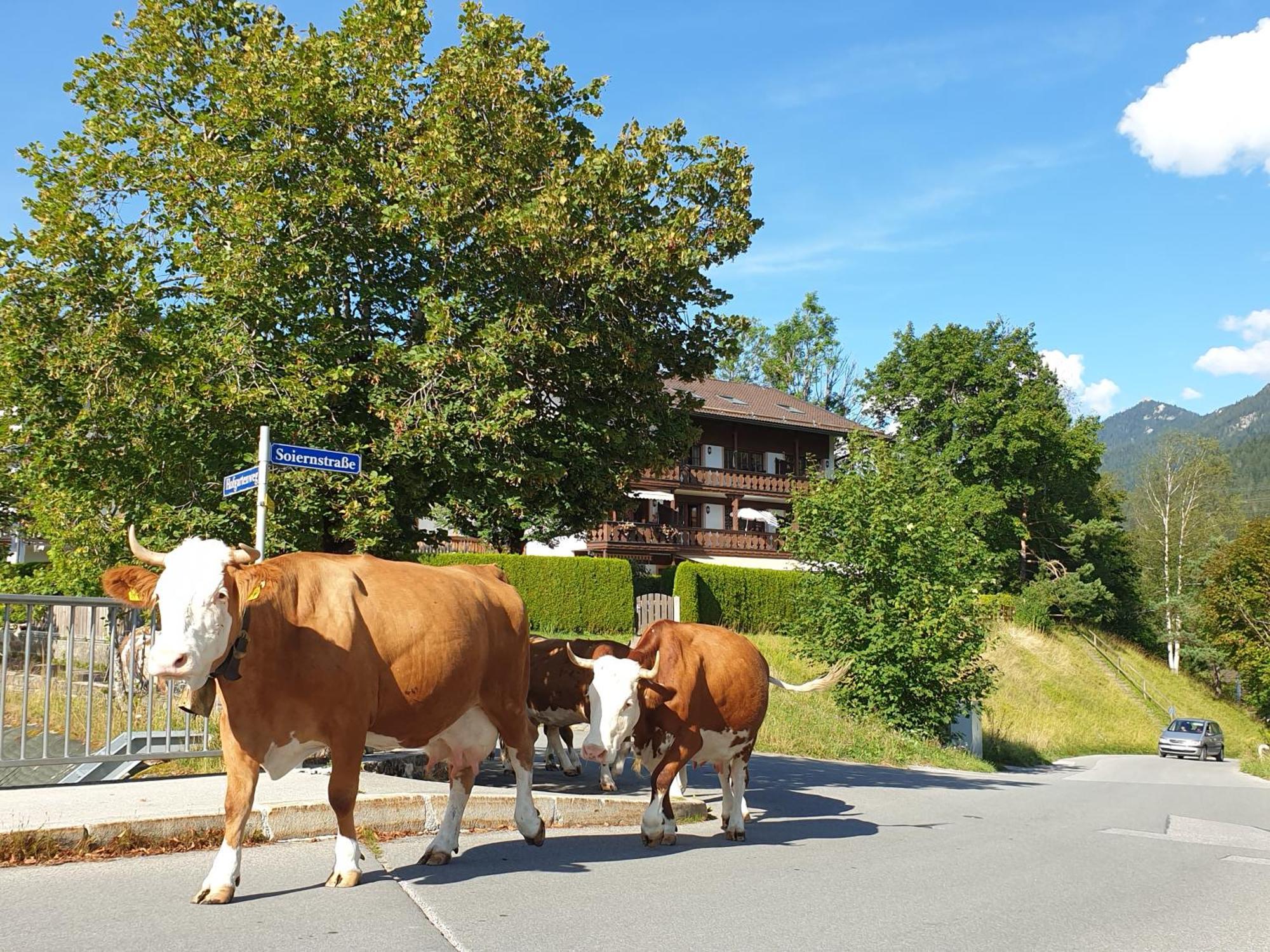 Haus Abendsonne Familie Druxes Krün Exterior foto